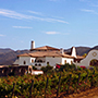 Adobe Guadalupe