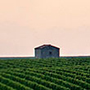 Château Calon-Ségur