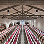 Château Calon-Ségur
