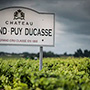 Château Grand-Puy Ducasse