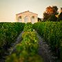 Château Mouton Rothschild