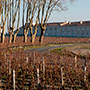 Château Mouton Rothschild