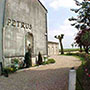 Pétrus