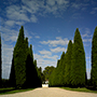 Chateau Trotanoy