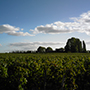 Chateau Trotanoy