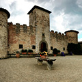 Cavaliere d’Oro