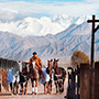 Cheval des Andes