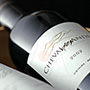 Cheval des Andes