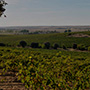 Dehesa la Granja