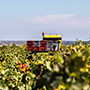 Domaine Leroy