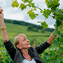 Domaine Leroy