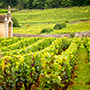 Domaine Leroy