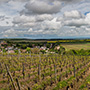 La Chablisienne