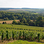 La Chablisienne