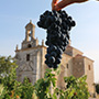 Tinto Pesquera