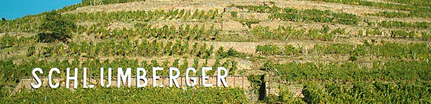 Domaines Schlumberger