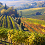 Tavernello