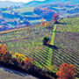 Tavernello