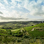 Tavernello